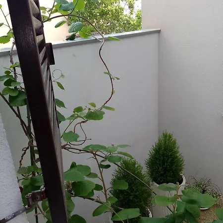 דירה Mimi Veruda Porat *